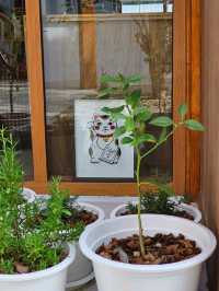 Hitch & Round Cafe and Space | ปราณบุรี