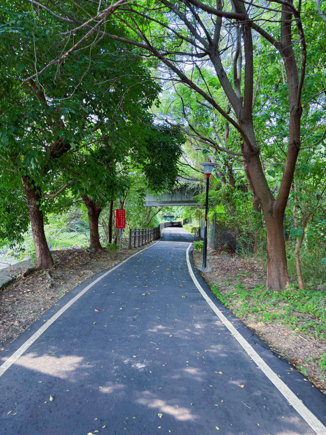 🌿桃園都市綠洲輕旅行｜茄苳溪自行車道：高架下的靜謐綠徑，漫步溪畔小秘境