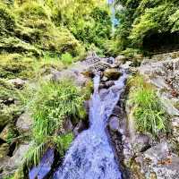 頂湖社區-草山瀑布-猴崁水圳步道-竹子湖歡樂行