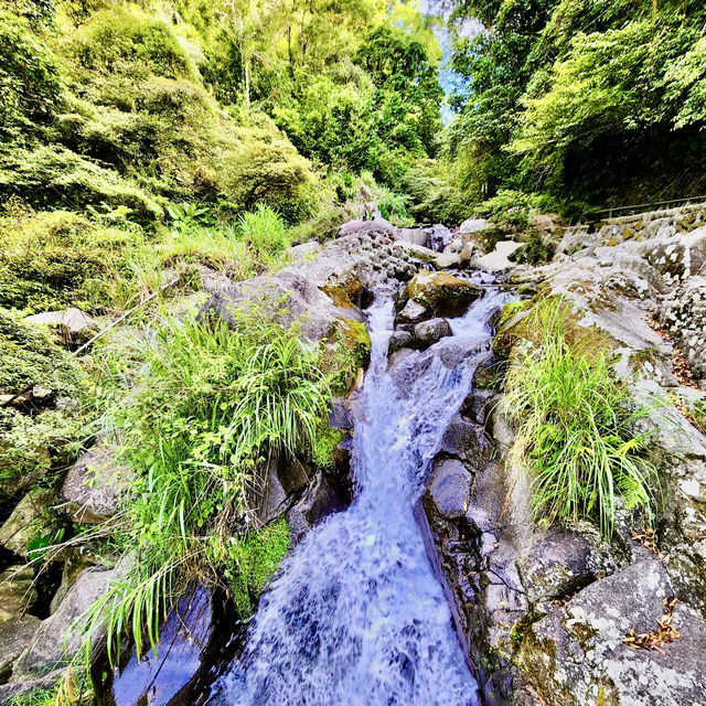 頂湖社區-草山瀑布-猴崁水圳步道-竹子湖歡樂行