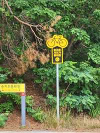 🚴‍♂️강원도 고성여행, 자연 속 자전거 한 바퀴 "송지호 둘레길 자전거대여소"🚴‍♀️