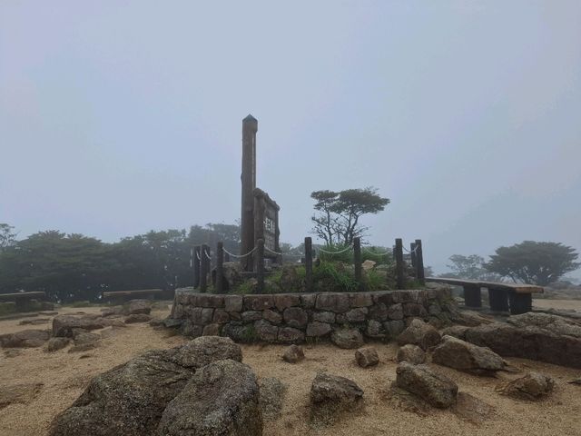 三重山頂秘境！絕美公園四季皆風景！