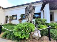 Whispers of Zen in the Heart of Singapore (Bonsai Garden)
