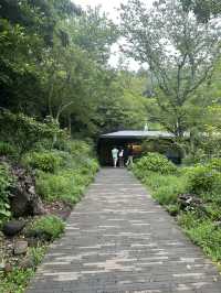 녹차의 향기에 취하다! 제주 오설록 티 뮤지엄 🌿♥️