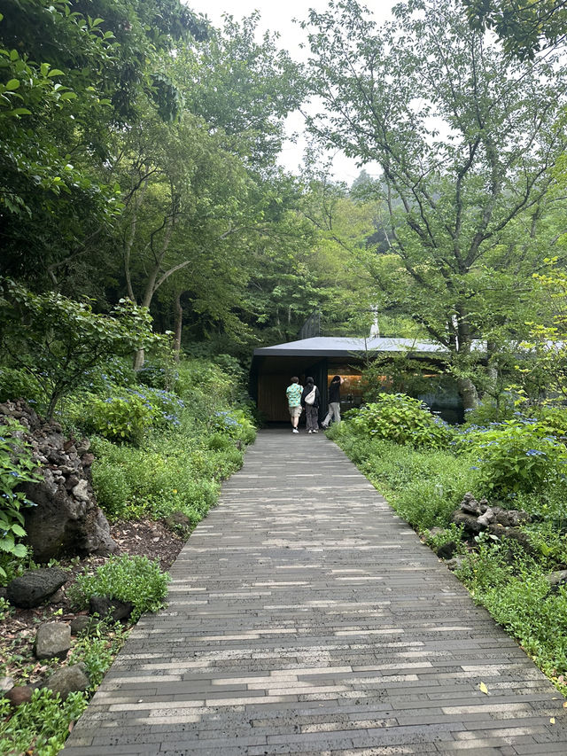 녹차의 향기에 취하다! 제주 오설록 티 뮤지엄 🌿♥️