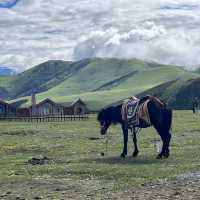 📍Kazila Mountain – A Dreamy Highland Pasture Above the Clouds