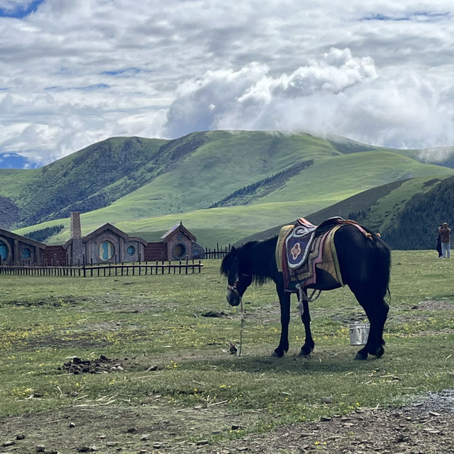📍Kazila Mountain – A Dreamy Highland Pasture Above the Clouds