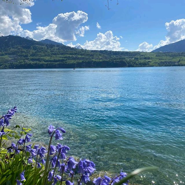 Lake Thun Paddle Boats