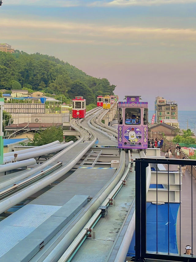 📍 여름 바다를 품은 해운대 여행