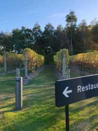 Pt. Leo Estate | 艺术、美酒与海风的完美邂逅