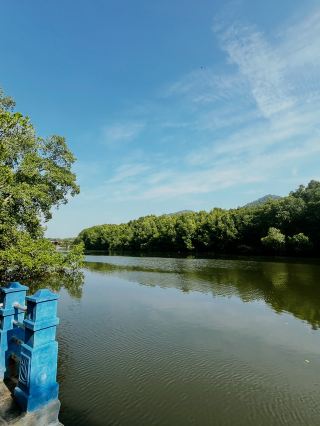 City Mangrove Park – A Perfect Summer Escape into Nature