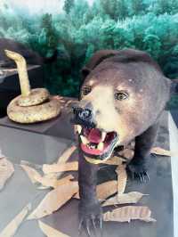 “State Museum of North Sumatra: Journey Through Nature and History” 
