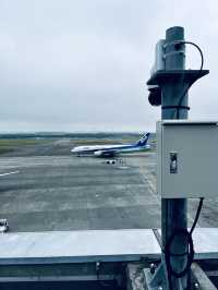 여기는 공항의 탈을 놀이동산🎡 신치토세 공항 완전 공략