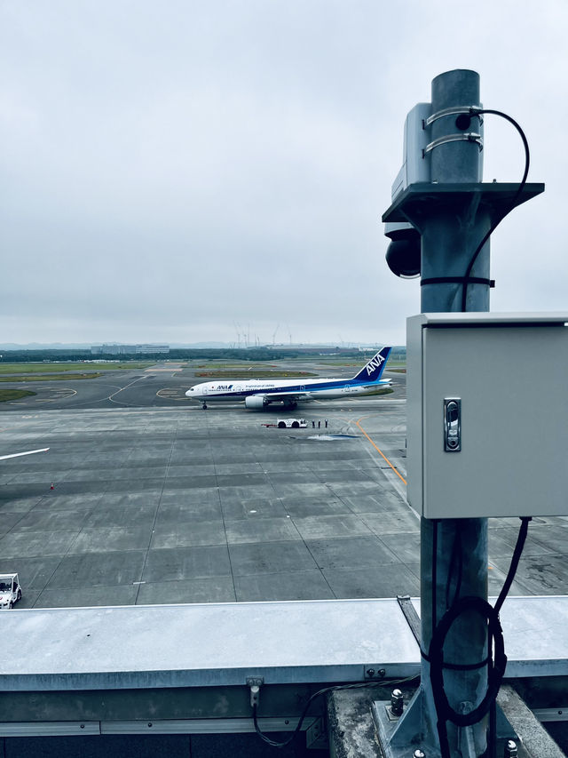 여기는 공항의 탈을 놀이동산🎡 신치토세 공항 완전 공략