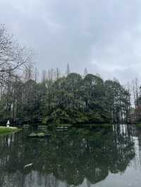 Best Park for Tulips in Hangzhou