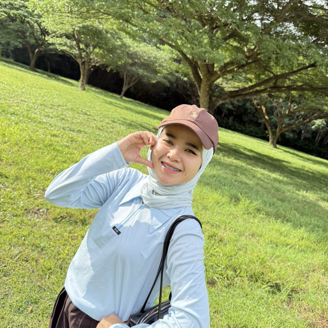 ต้นจามจุรียักษ์ พังงา 🌳