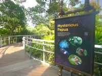 Venture into Mysterious Papua