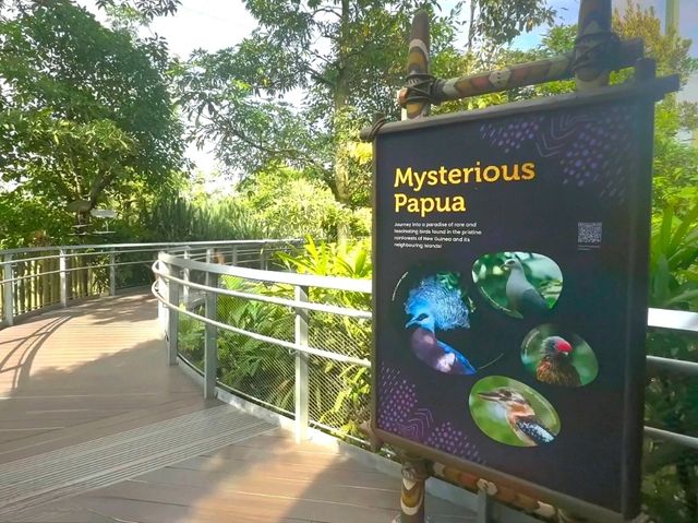 Venture into Mysterious Papua