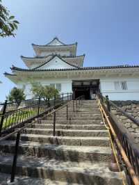Discover the Magic of Hotoku Ninomiya Shrine: A Summer Adventure in Japan!