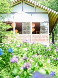 【京都】夏の大原・旅プラン🌿🫧