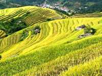 Layers of Peace – A Day in Lao Chai, Vietnam