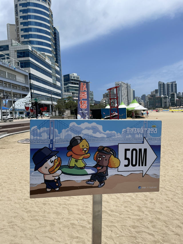 광안리 바닷가에서 만난 라이언과 춘식이🐻 포토존 후기