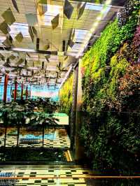 One of a Kind Airport Terminal