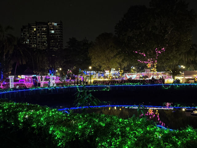 Light Up Your Night With Wonder