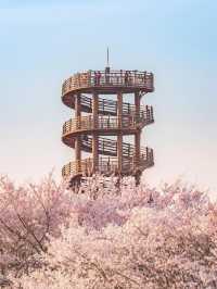 🇰🇷 Trip Review | Siheung Gaetgol Eco Park — Where the Sky Has No Ceiling 🌾