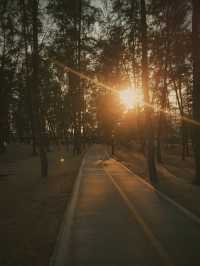 Camping ริมทะเล ที่ปราณบุรี