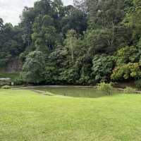 A Forest Hideaway Above the Highlands – My Visit to Pineyard Café, Genting
