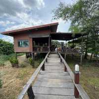 🌿☕ Home_no.eight – บ้านเลขที่ 8 คาเฟ่เล็กๆ ริมน้ำ