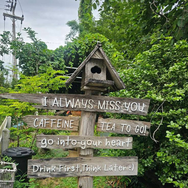 ☕🌾 Miss You คิดถึงเสมอ