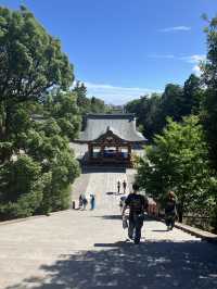 【神奈川・鎌倉市】鶴岡八幡宮〜商売繁盛、勝負運、良縁、安産のパワースポット〜