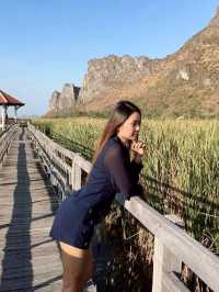 ศูนย์ศึกษาธรรมชาติบึงบัว เขาสามร้อยยอด