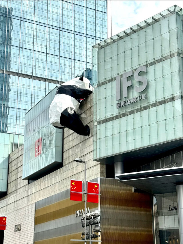 IFS & the Giant Panda Sculpture 🐼 