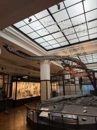 พาชมบรรยากาศ National Museum of Nature and Science