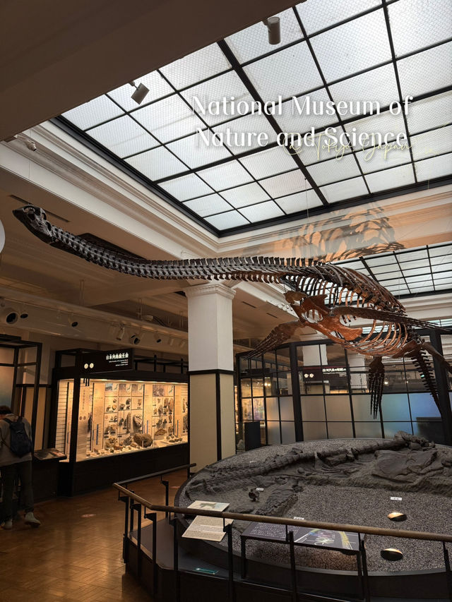 พาชมบรรยากาศ National Museum of Nature and Science