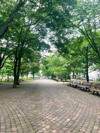 Odori Park: Sapporo’s Green Escape