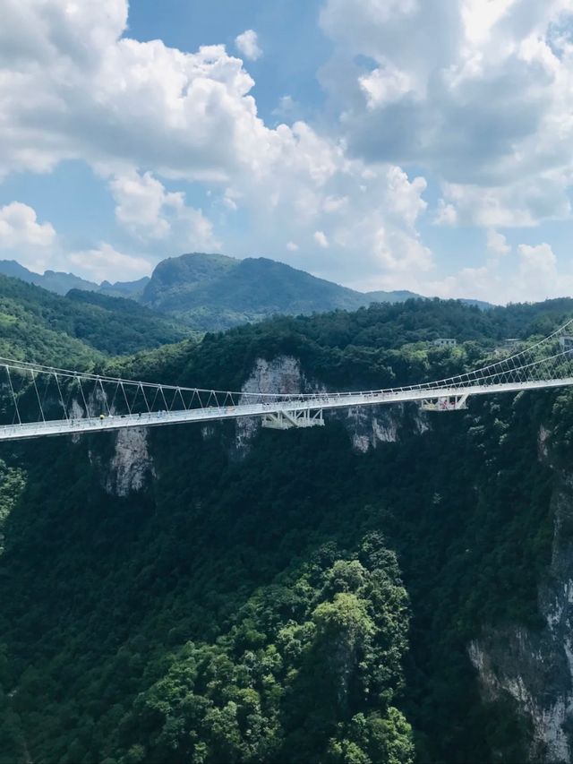 Walking on Air: The Thrill of Zhangjiajie Glass Bridge
