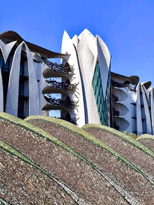 Wandering Marisfrolg’s Style Sanctuary in Shenzhen