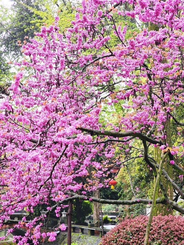 Dujiangyan
