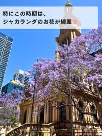 🌸春のシドニーが最高な理由