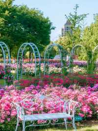 Hangzhou Xixi Rose Garden｜A Stroll Through Monet’s Painting 🎨🌹