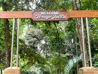 Hidden Gem of Mindanao: Tinago Falls, Iligan City