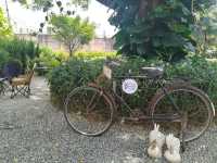 คาเฟ่เปิดใหม่ศรีราชา THUM FARM CAFE