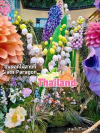 เดินชมดอกไม้สวยที่สยามพารากอน🏵️