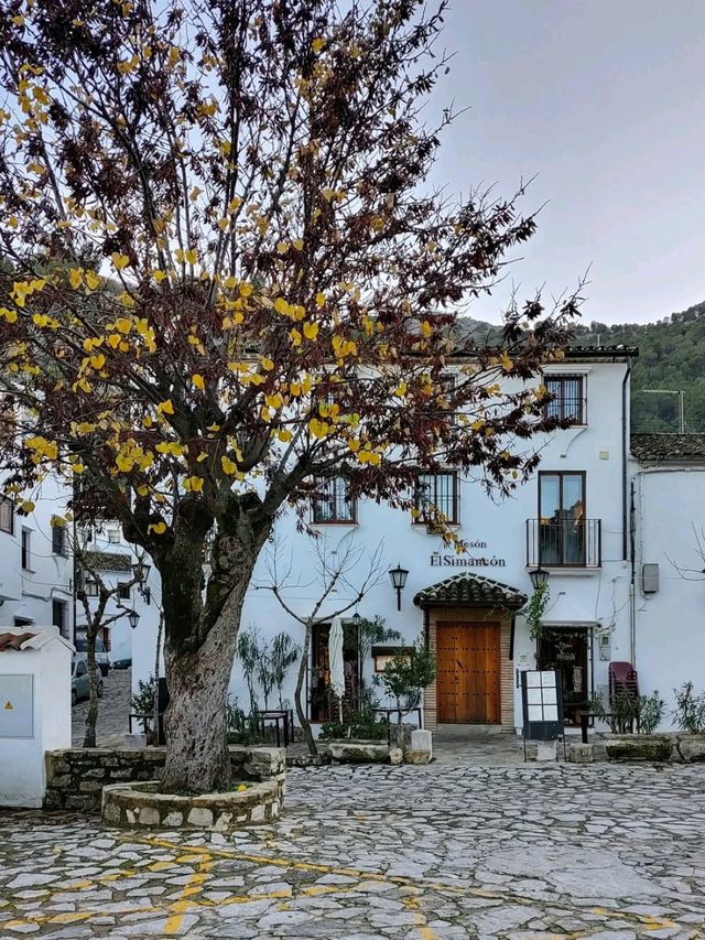 Getting Lost (In a Good Way) in Grazalema