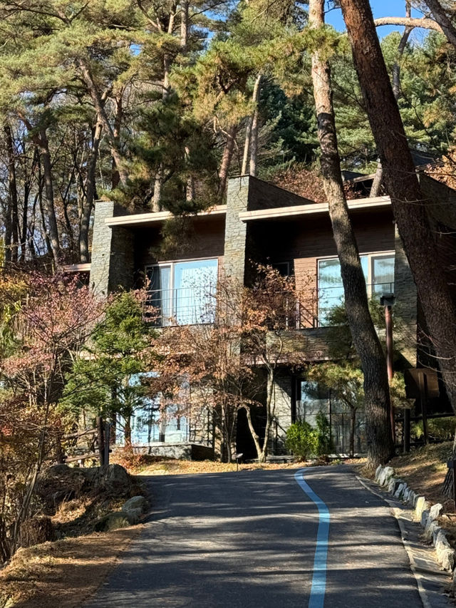 🌿 자연·역사·힐링의 도시, 제천 1박 2일 여행코스