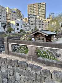 👓Megane Bridge: A Scene of Reflected Serenity 